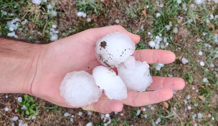 Maltempo in Toscana, Coldiretti: &ldquo;Stop cambiamenti climatici"