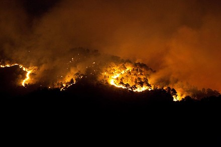 Incendi, nel 2021 in Italia bruciati 170 mila ettari
