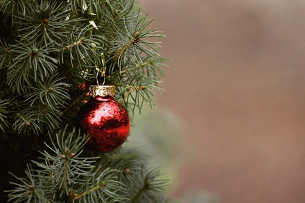 L'8 dicembre &egrave; sempre boom di alberi di Natale