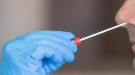 Nuova infezione dalla Cina, torna l&rsquo;aviaria?