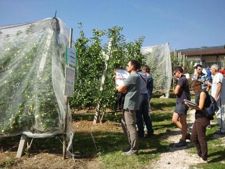 Bonus agricoltori, al via da oggi le domande